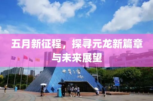 五月新征程，探寻元龙新篇章与未来展望