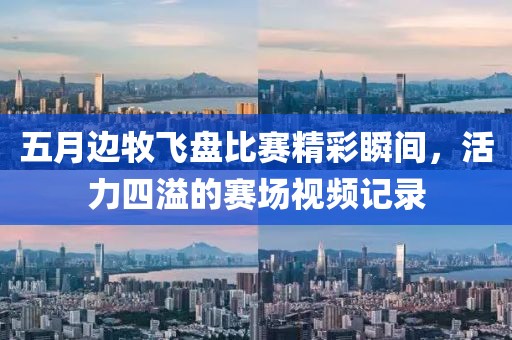 五月边牧飞盘比赛精彩瞬间，活力四溢的赛场视频记录