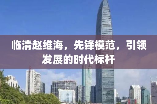 临清赵维海，先锋模范，引领发展的时代标杆