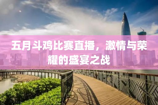 五月斗鸡比赛直播，激情与荣耀的盛宴之战