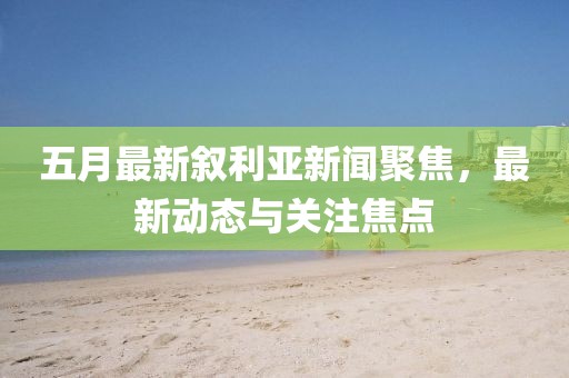 五月最新叙利亚新闻聚焦，最新动态与关注焦点