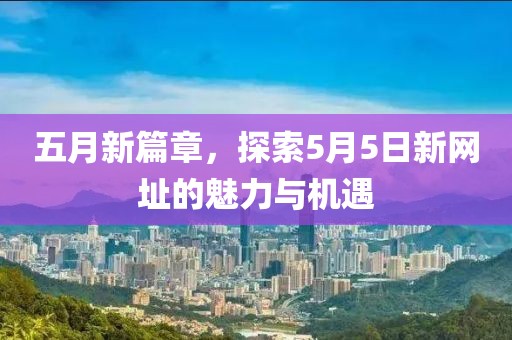五月新篇章，探索5月5日新网址的魅力与机遇