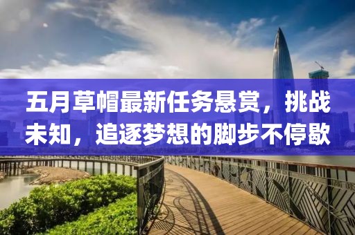 五月草帽最新任务悬赏，挑战未知，追逐梦想的脚步不停歇