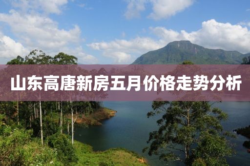 山东高唐新房五月价格走势分析