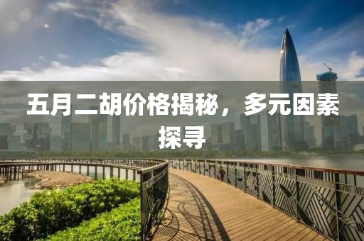 五月二胡价格揭秘，多元因素探寻