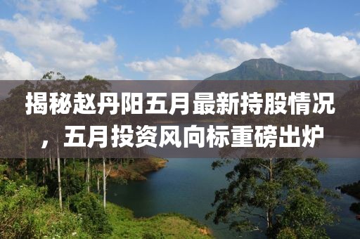 揭秘赵丹阳五月最新持股情况，五月投资风向标重磅出炉