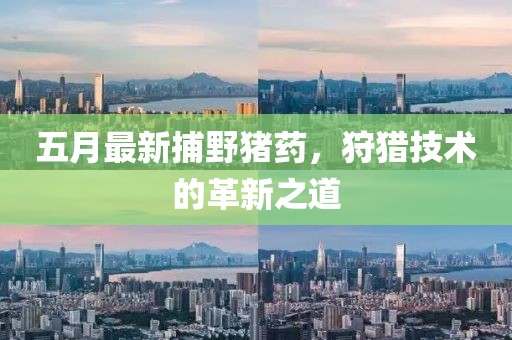 五月最新捕野猪药，狩猎技术的革新之道