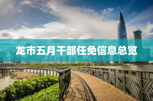 龙市五月干部任免信息总览