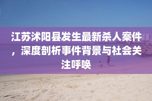 江苏沭阳县发生最新杀人案件，深度剖析事件背景与社会关注呼唤