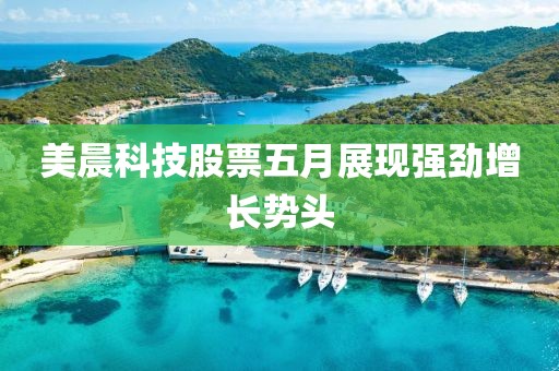 美晨科技股票五月展现强劲增长势头