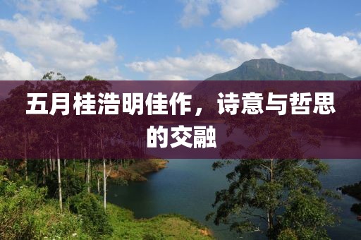五月桂浩明佳作，诗意与哲思的交融
