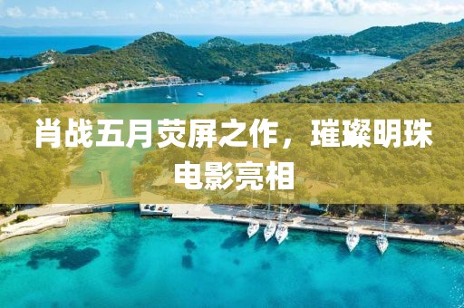 肖战五月荧屏之作，璀璨明珠电影亮相
