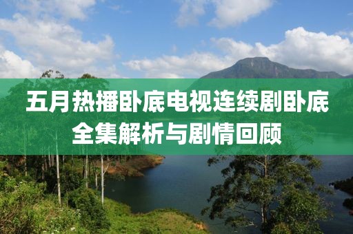 五月热播卧底电视连续剧卧底全集解析与剧情回顾