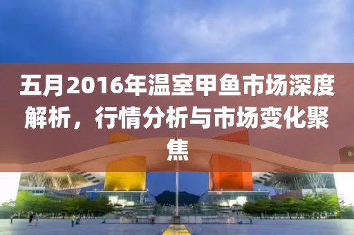 五月2016年温室甲鱼市场深度解析，行情分析与市场变化聚焦