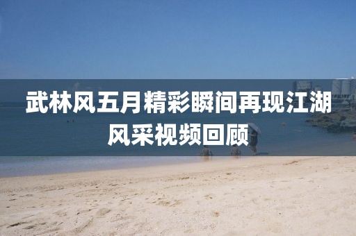 武林风五月精彩瞬间再现江湖风采视频回顾