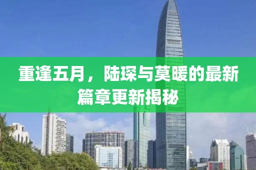 重逢五月，陆琛与莫暖的最新篇章更新揭秘