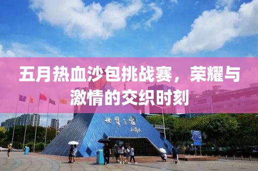 五月热血沙包挑战赛，荣耀与激情的交织时刻