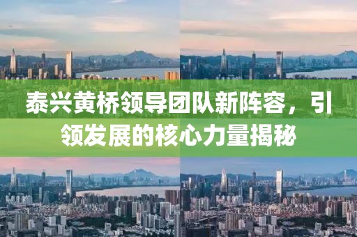 泰兴黄桥领导团队新阵容，引领发展的核心力量揭秘