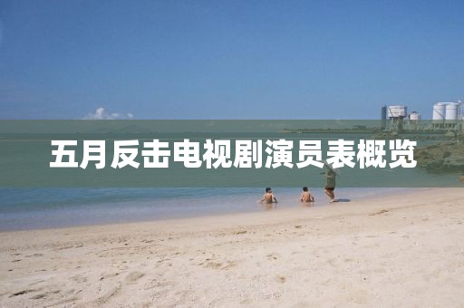 五月反击电视剧演员表概览
