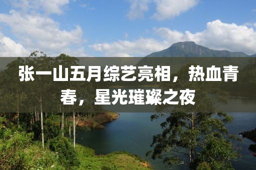张一山五月综艺亮相，热血青春，星光璀璨之夜