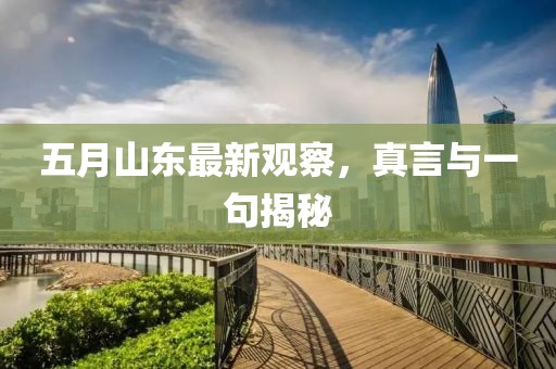五月山东最新观察，真言与一句揭秘