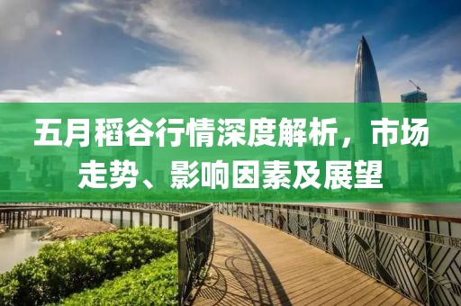五月稻谷行情深度解析，市场走势、影响因素及展望