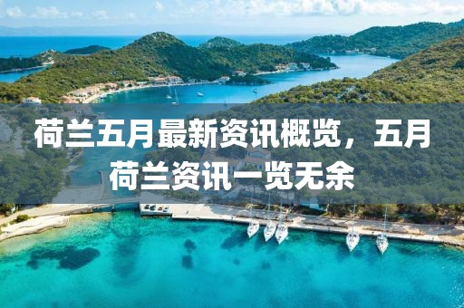 荷兰五月最新资讯概览，五月荷兰资讯一览无余