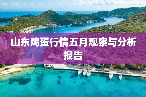 山东鸡蛋行情五月观察与分析报告
