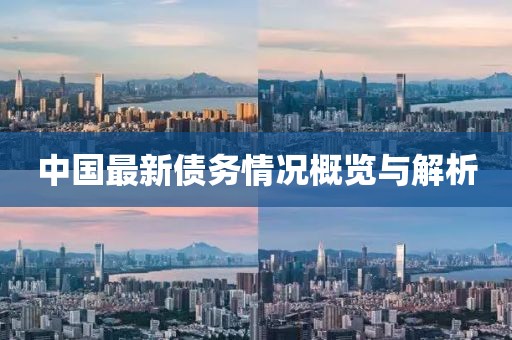 中国最新债务情况概览与解析