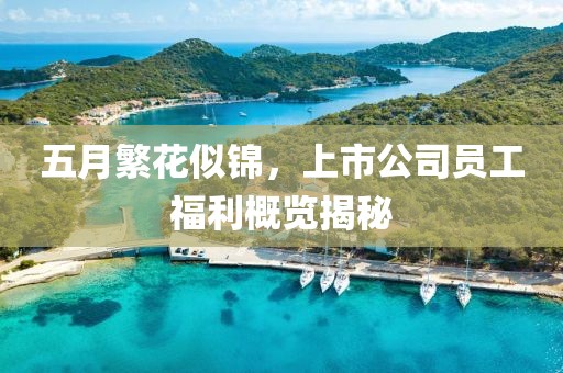 五月繁花似锦，上市公司员工福利概览揭秘