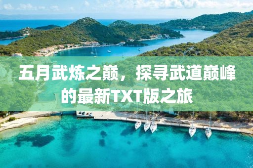 五月武炼之巅，探寻武道巅峰的最新TXT版之旅