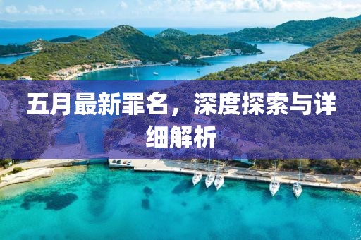 五月最新罪名，深度探索与详细解析