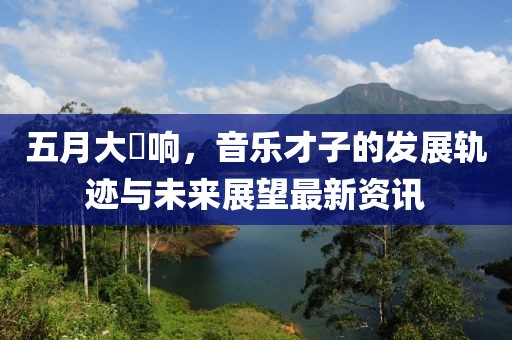 五月大槻响，音乐才子的发展轨迹与未来展望最新资讯