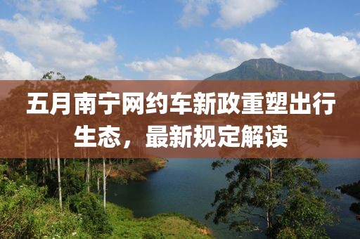 五月南宁网约车新政重塑出行生态，最新规定解读