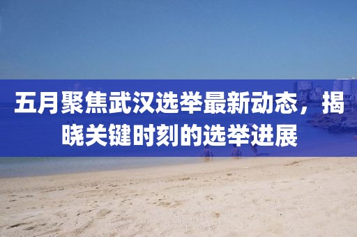 五月聚焦武汉选举最新动态，揭晓关键时刻的选举进展
