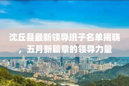 沈丘县最新领导班子名单揭晓，五月新篇章的领导力量