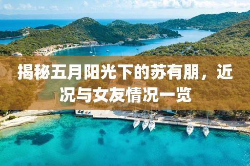 揭秘五月阳光下的苏有朋，近况与女友情况一览