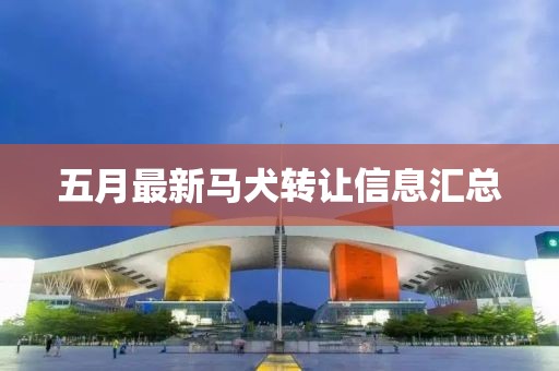 五月最新马犬转让信息汇总