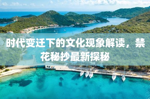 时代变迁下的文化现象解读，禁花秘抄最新探秘