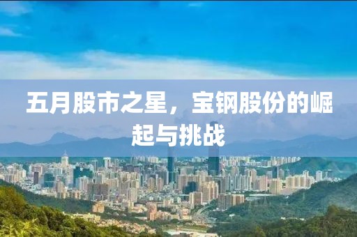 五月股市之星，宝钢股份的崛起与挑战