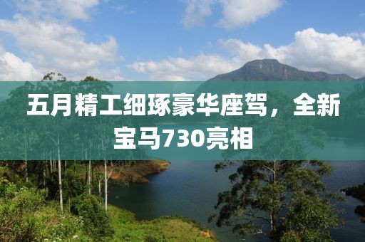 五月精工细琢豪华座驾，全新宝马730亮相