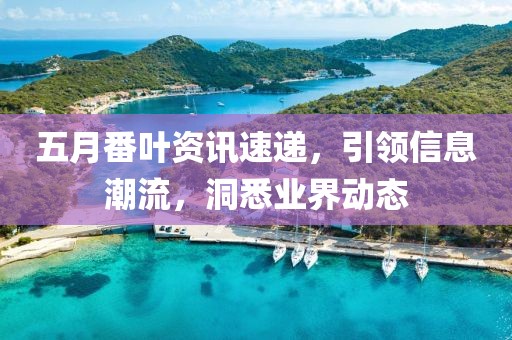 五月番叶资讯速递，引领信息潮流，洞悉业界动态