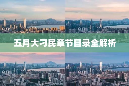 五月大刁民章节目录全解析