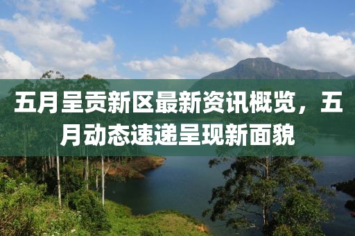 五月呈贡新区最新资讯概览，五月动态速递呈现新面貌