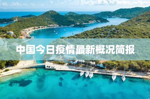中国今日疫情最新概况简报