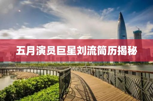 五月演员巨星刘流简历揭秘