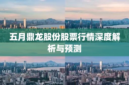 五月鼎龙股份股票行情深度解析与预测