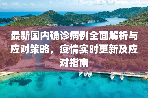 最新国内确诊病例全面解析与应对策略，疫情实时更新及应对指南
