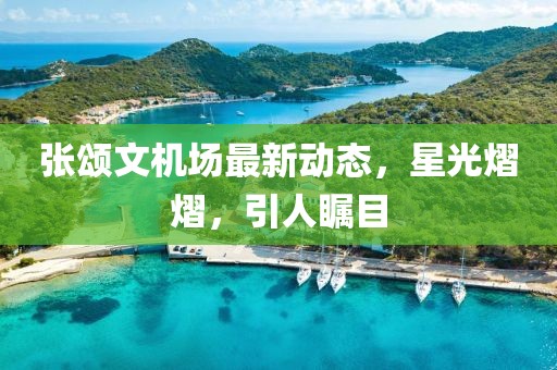 张颂文机场最新动态，星光熠熠，引人瞩目