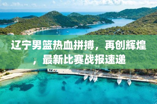 辽宁男篮热血拼搏，再创辉煌，最新比赛战报速递